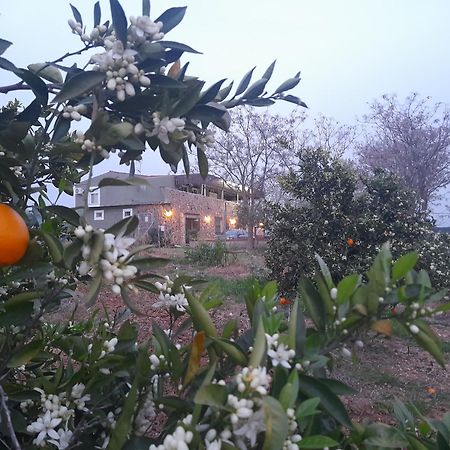 Hostal Entreolivos باداخوز المظهر الخارجي الصورة